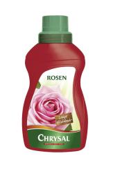 CHRYSAL Ruusu