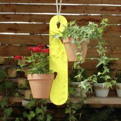 Vitavia Hanging Basket yellow