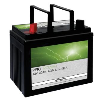 Pro Power Starter Battery AGM 12V 30Ah - CCA 300A 