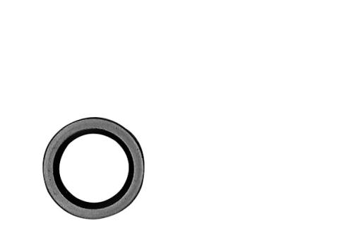 Shaft Gasket Ring 