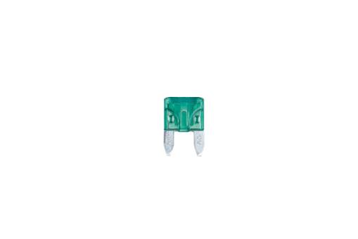 Plug In Fuse 30.0 A light-green 30